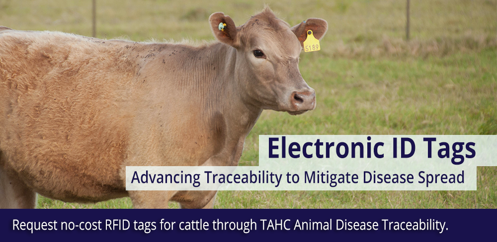 Request no-cost RFID tags for cattle through TAHC Animal Disease Traceability.