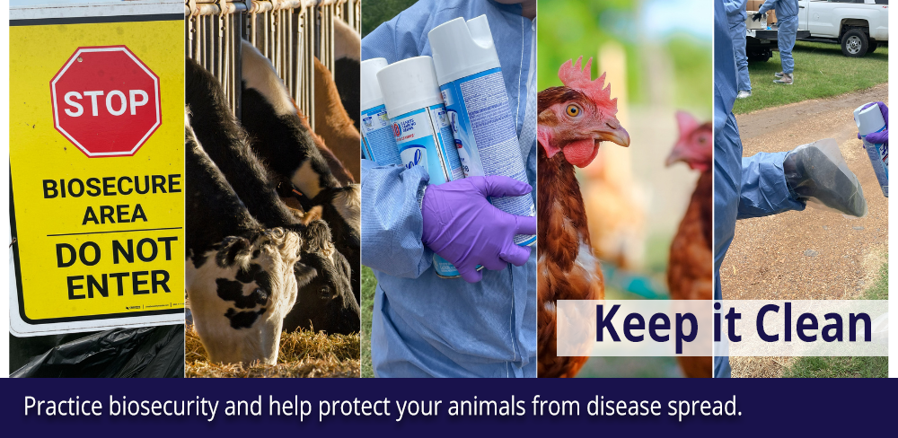 Keep it clean. Practice biosecurity and help protect your animals from disease spread.