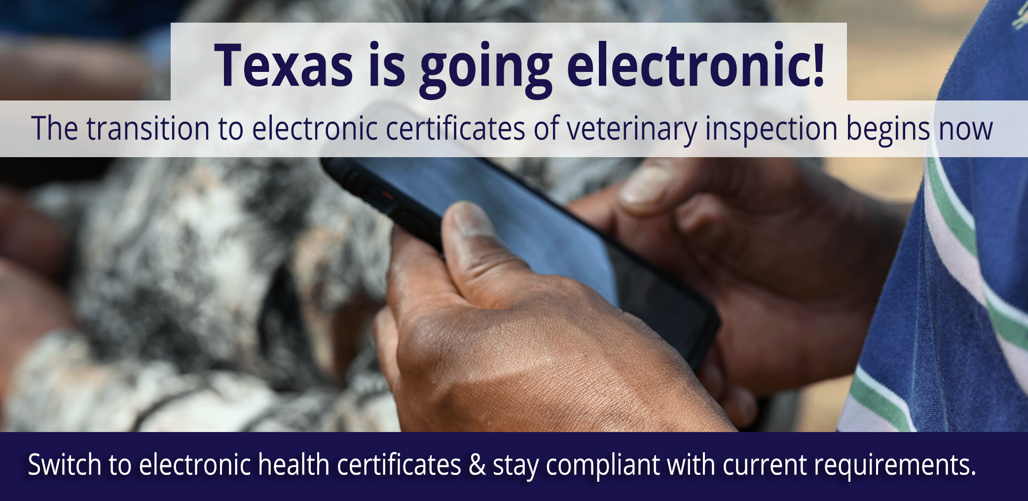 The transition to electronic health certificates begins now. Stay compliant with current requirements.