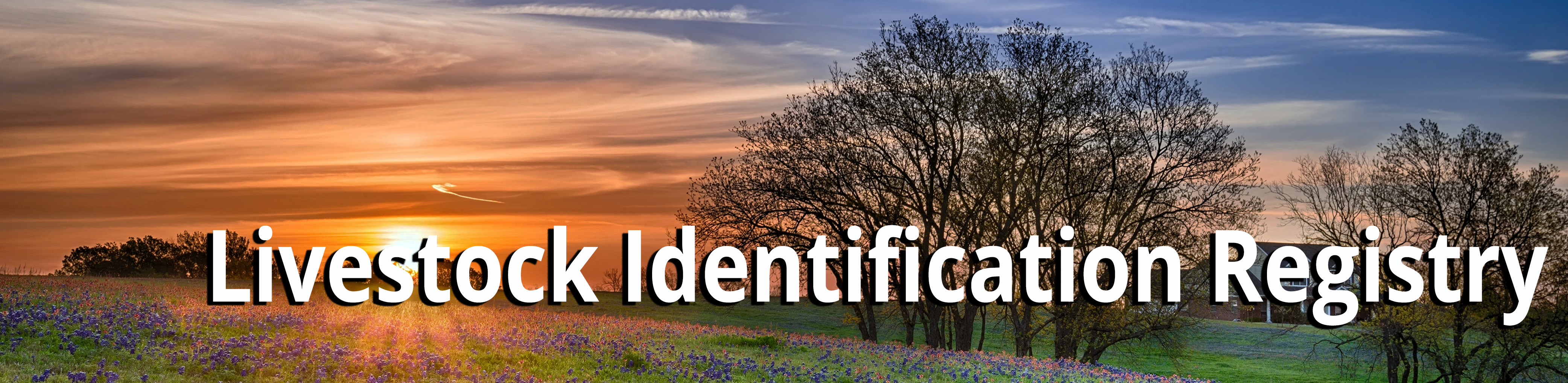 Livestock Identification Registry